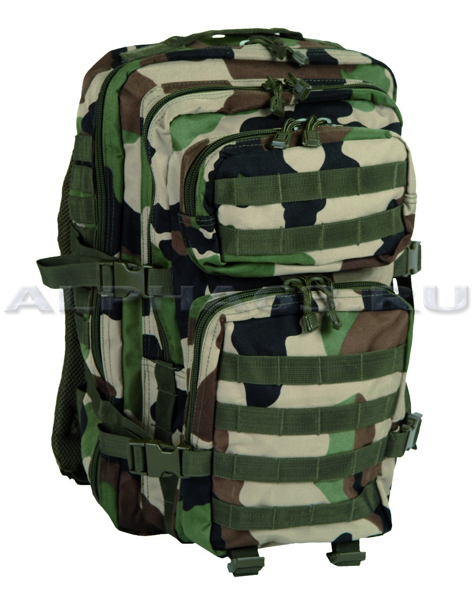  US ASSAULT PACK Large E