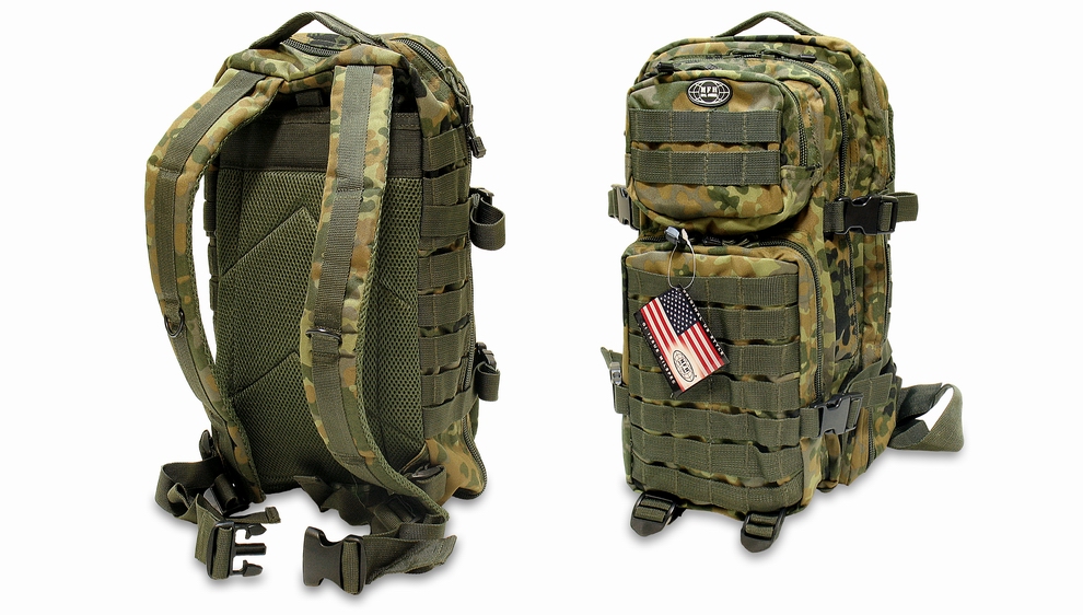  ''U.S. Assault'' Flecktarn