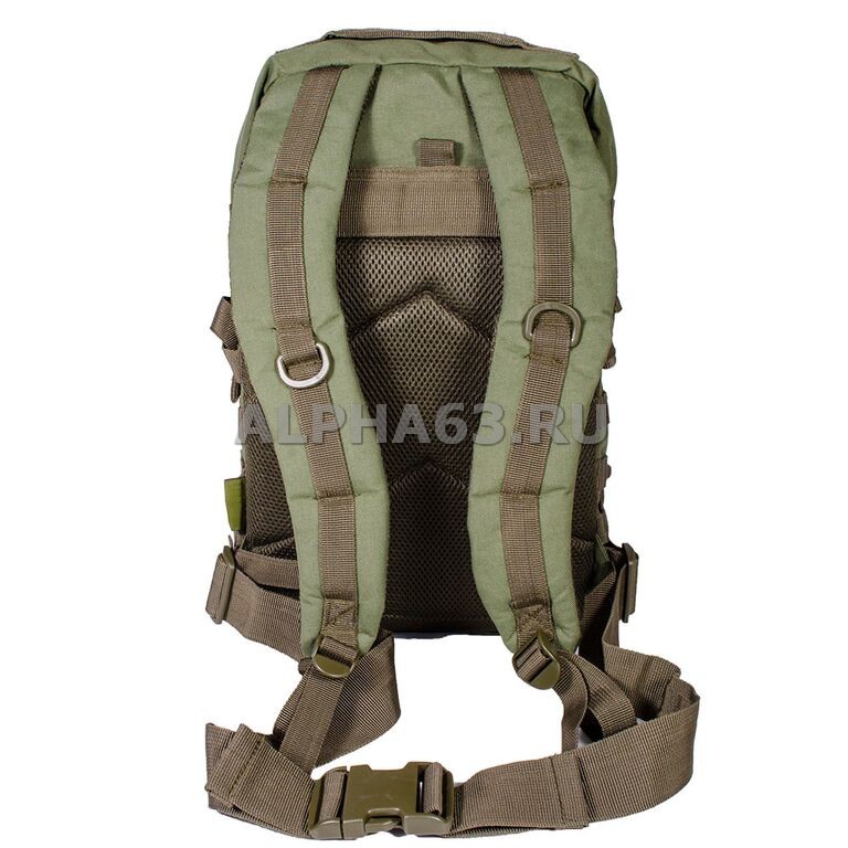  Assault 36L Tactical Frog Olive