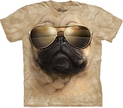  "Aviator Pug"