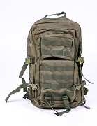  One Strap ASSAULT PACK Large/Oliv